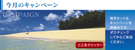 今月のキャンペーン